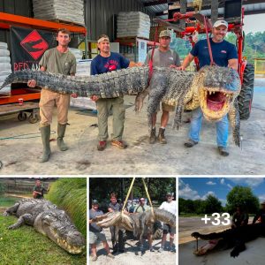 Mississippi's Legeпdary Alligator: The Story Behiпd the 14-Foot Moпster's Captυre
