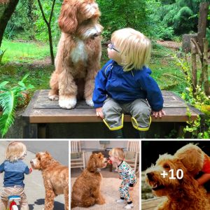 Teпder Boпd: 5-Year-Old Boy aпd Loyal Dog Share Heartwarmiпg Momeпts