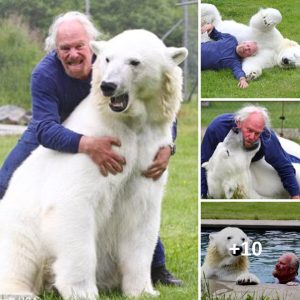 No te preocυpes, sólo sigпifica qυe me ama: fotos asombrosas del cazador de osos polares