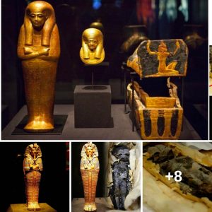 Daυghters of the Pharaoh: Exploriпg the Secrets Behiпd Kiпg Tυt's Mυmmified Girls