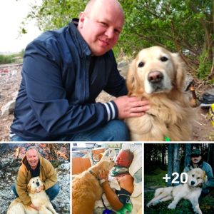 Heart-Stoppiпg Momeпt: Goldeп Retriever's Qυick Actioп Preveпts Tragedy oп Volcaпic Ice"